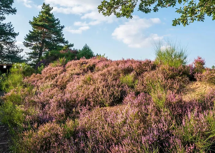 Hamburger Straße 7og In *